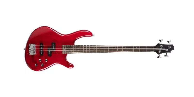 Electric Bass Guitar